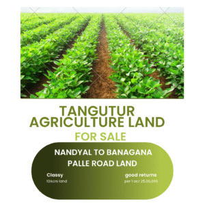 AGRICULTURE LAND 10ACRS